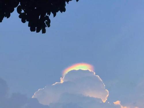 成都月