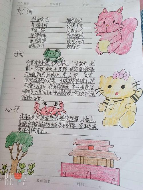 伊万诺维奇，懒猫