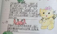 懒猫伊万内奇读后感