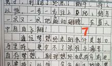 青春有痛亦有梦