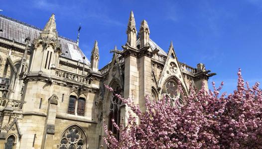 巴黎圣母院大教堂之旅