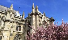 巴黎圣母院之旅