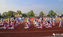 一场精彩绝伦的运动会