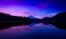 七年级我学会了静心