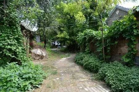 乡村小路