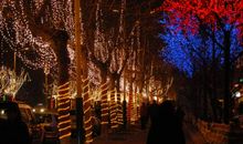 火树银花是元宵