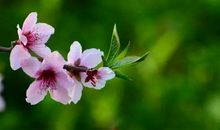 请保持一颗真诚的心