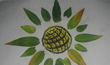 树叶粘贴画作文500字