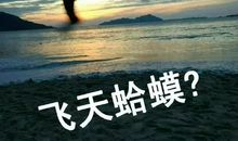 这个寒假真难忘