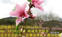 桃花节一日游
