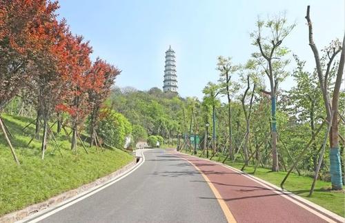 美丽的塔山公园