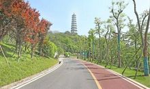 美丽的塔山公园