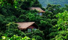 一个公园的故事