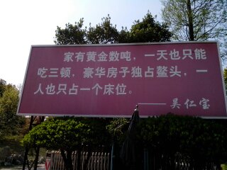 读《兔子与狐狸的悲伤》的思考