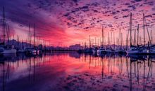 七年级我学会了从容