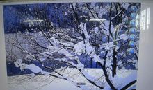 我多想冬天不再寒冷