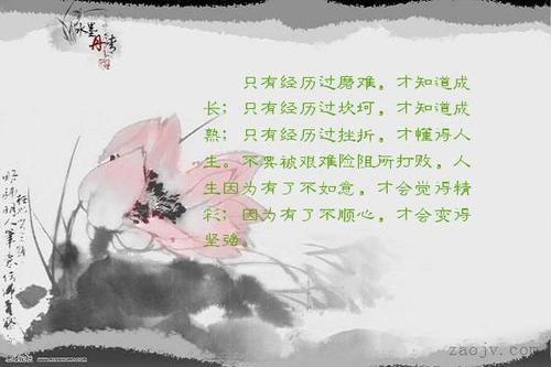 只有经历了