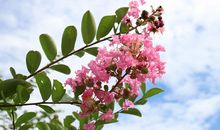 驻足也是一种美好