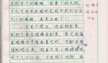 我的老师作文450字写事