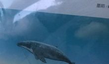 梦想是一步步实现的