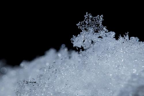 最美丽的雪花