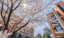 给我迈进重点大学的底气