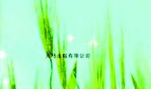 耐苦，是一种勇气