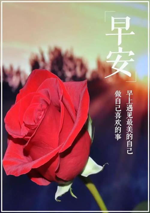 那天早上感动