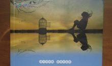 做一个独立的思考者读后感