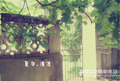 奶奶的小院子