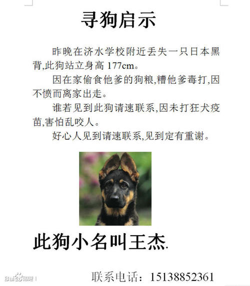 狗启蒙