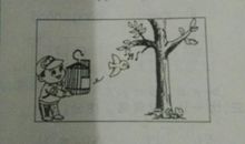 小鸟又唱了看图写话