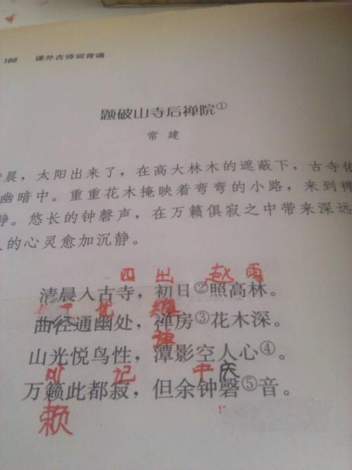 我的代言经历