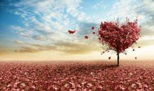 为他人送一道阳光