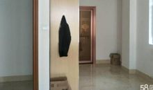 四季的动静时刻