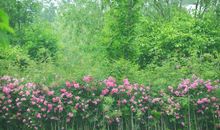 让勇敢走进心灵