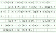 以体谅为话题的作文