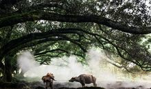 斗笠里的婉转流年