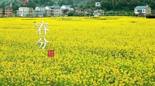 在春分点播希望
