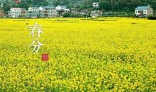 春分时节播种希望