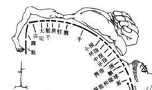 左脑右脑辩论会