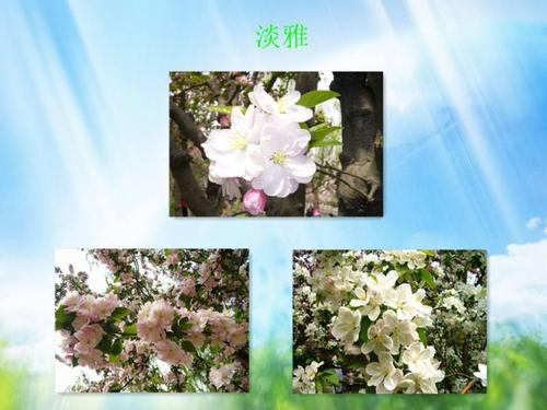 温暖源于等待