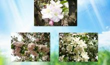 温暖，源于那一份守候