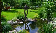 花园里的小池塘