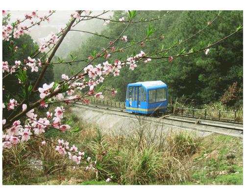 保暖伞花