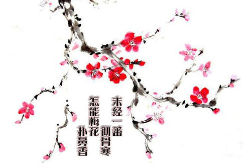 我最喜欢的李子成分