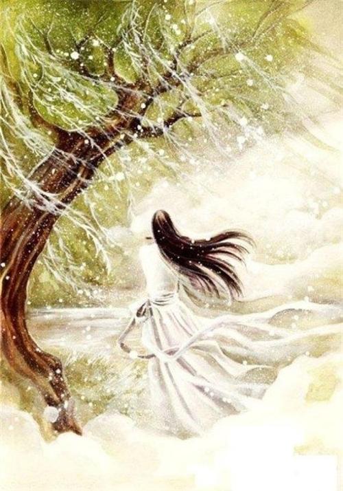 泪如雨