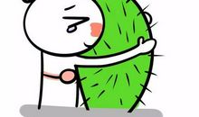 我干了一件傻事