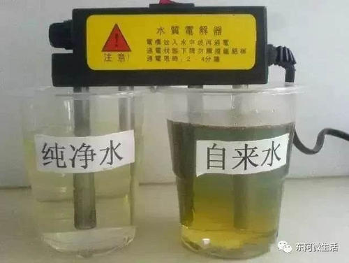 铁杆变色