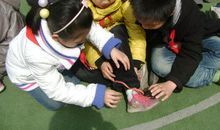 我有一双灵巧的手